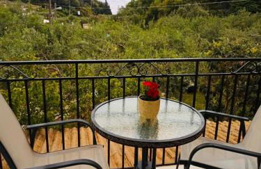 Oliveto e mare - Foto 31