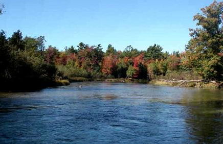 Gorgeous Cottage with Stunning Sights in Wellston, Michigan - Foto 29