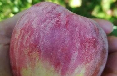 Ruralna kuća za odmor Pozojova hiža - Rural Holiday House - Foto 36