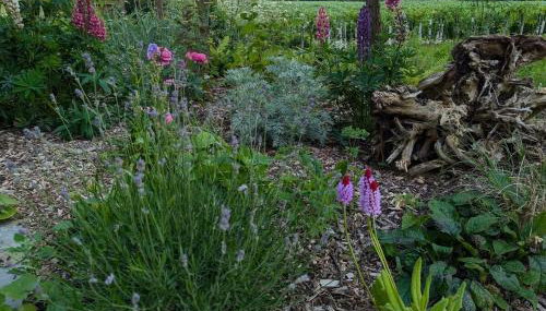 New traditional village house - Foto 4