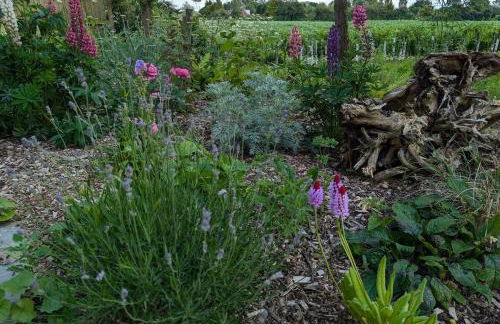 New traditional village house - Foto 4