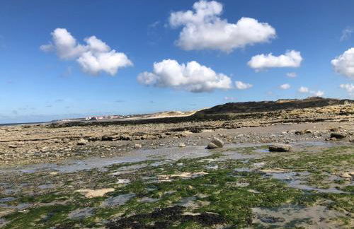 Au cœur du Sénéchal - Foto 45