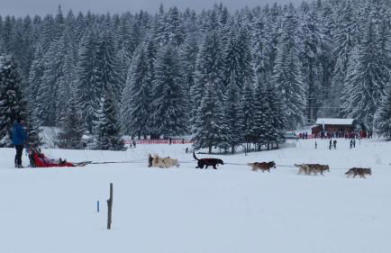 LA GRANGE DE HAUTE-JOUX - Foto 18