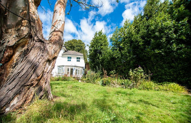 Trees Annex - Photo 19