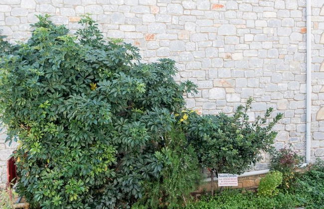 Manoleas Villas - Apartment 8 - Foto 43