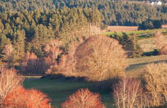 L'Oustalou - Tiny house en Aubrac - calme & nature - Foto 46