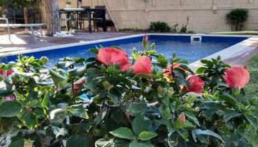 VILLA BELLA ESTANÇA - Photo 5, Garden, Garden view