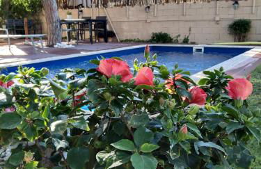 VILLA BELLA ESTANÇA - Photo 5