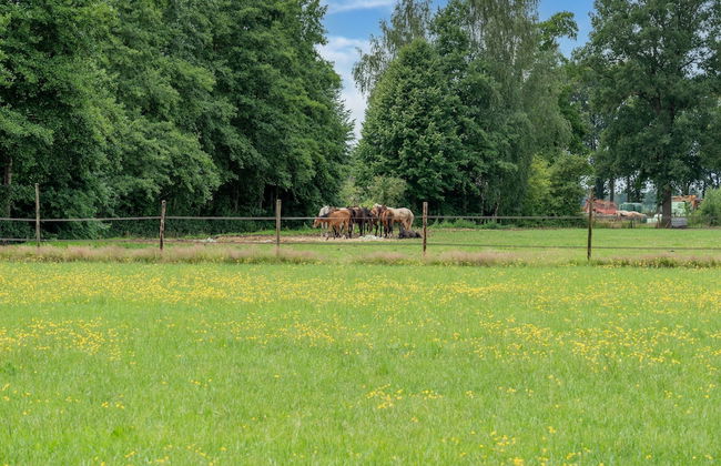 Comfortable Holiday Home in Den Ham With Garden - Foto 17