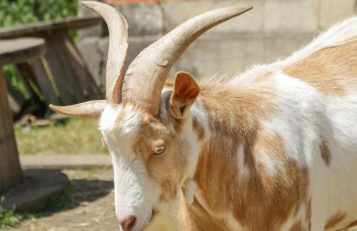 Foulsyke Farm Bungalow - Foto 42