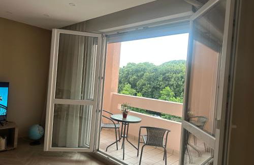 Moderne Appartement Strasbourg - Foto 1