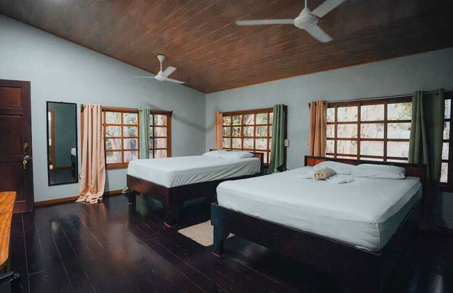 Kinkajoungalows - Foto 3