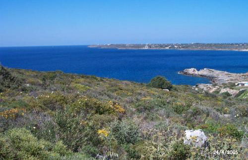 Comfortable House near Chania - Photo 17