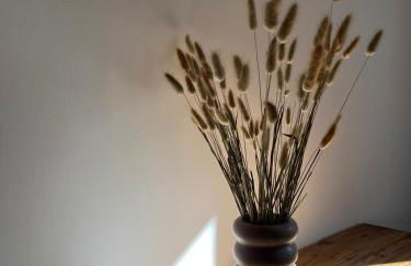 Les Vans - Charmant appartement au cœur du village - Foto 13