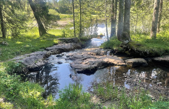 NaturSport Heutal - Foto 42