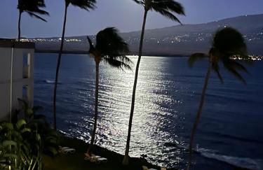 This place is different!! Award winning! Oceanfront, View View! - Foto 44