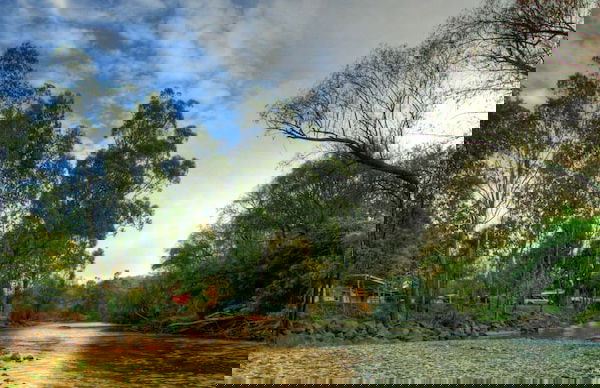 Discovery Parks - Mount Buffalo - Photo 60