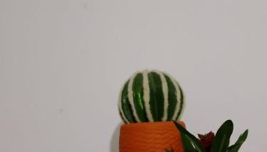 Apartamento da Jack - Foto 4