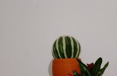 Apartamento da Jack - Foto 4
