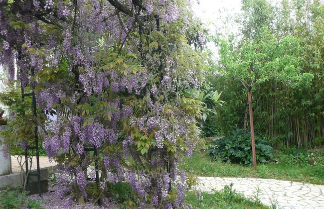 Farmhouse in Soudos With Garden - Foto 30