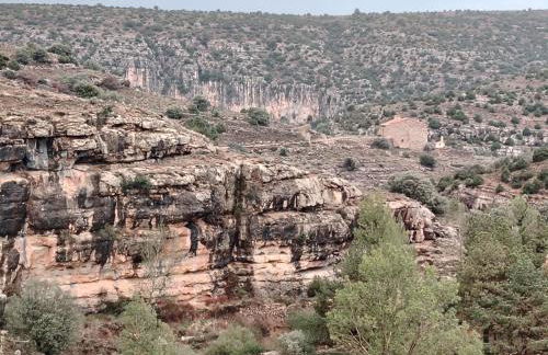 MOLINO DOLZ - Foto 51