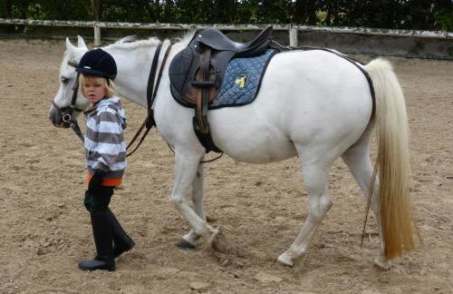Reiterhof Gründeich - Foto 60