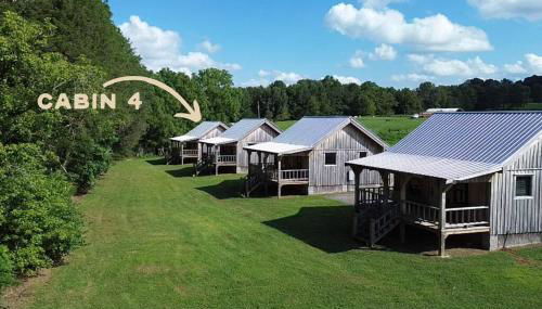 Creekside Cabin Near Waterfalls, Hiking & Lake Cabin 4 - Foto 2