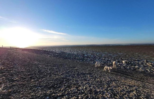 Docklodge at Frisian Lakes With Private Mooring - Foto 33