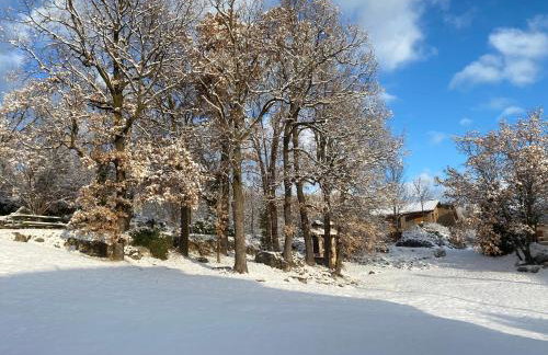 Cal Carol - Photo 22