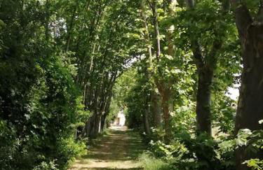 Le soleil d Eugènie appartement dans résidence avec Piscine commune près de Carcassonne - Foto 47
