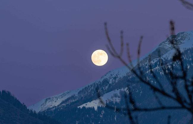 Chalet Okkernoot - Foto 14