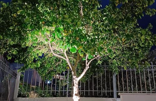 Villa Mykines - Foto 12