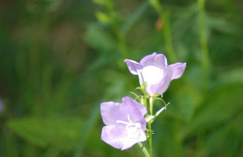 les Gites de l’E.D.E. - Photo 32