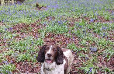 High Tide Lodge - Foto 47