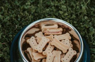 Jeleni Jar Apartamenty - Foto 21