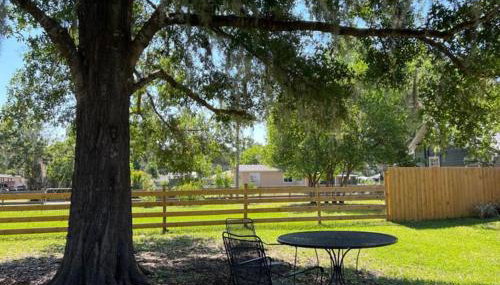 The Little Barn you are looking for! - Foto 4, Garden