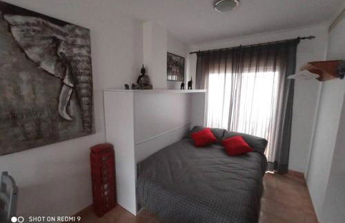 LOFT ALQUILER ALCALALÍ - Foto 2