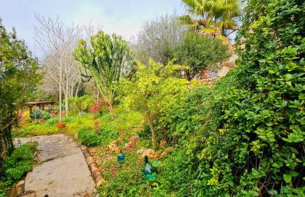 Ses Cases d'Alcudiola - Foto 71