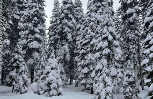 A Taste of Tahoe - Foto 11