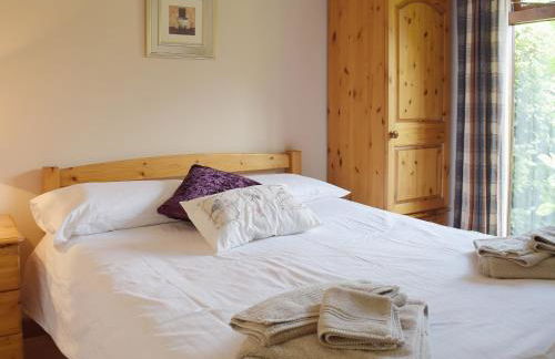 Oregano - E4483 - Foto 6