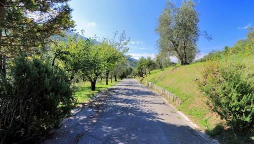 Il Gallo d' Oro - Scoiattolo - Foto 3