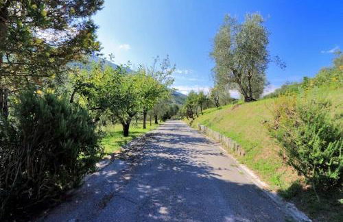 Il Gallo d' Oro - Oca - Foto 3