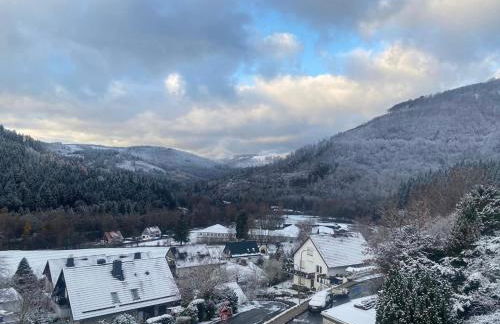Teufelsberg Panorama mit Sauna und Bergblick - Foto 24