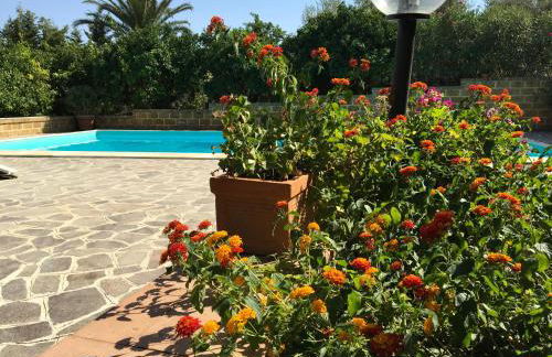 Poggio Delle Palme - Foto 11