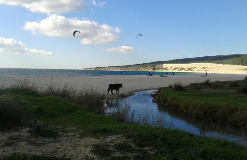 Hotel-Apart CORTIJO LAS PIÑAS - Foto 70