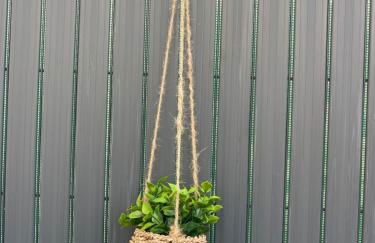 Les Hirondelles B - Foto 13