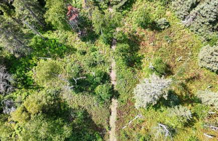 Gooseberry Trailside Suites by Heirloom Boutique Collection - Foto 11