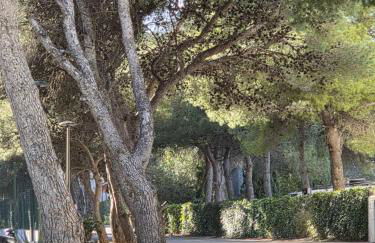 Attico mit Meerblick - Foto 34