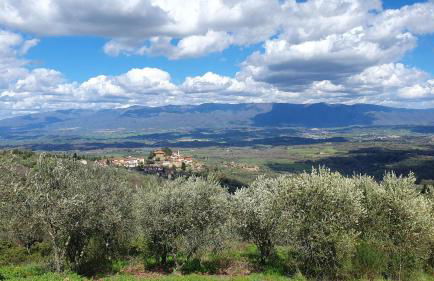 Tuscan Hills - Dimora storica in Chianti - Foto 28