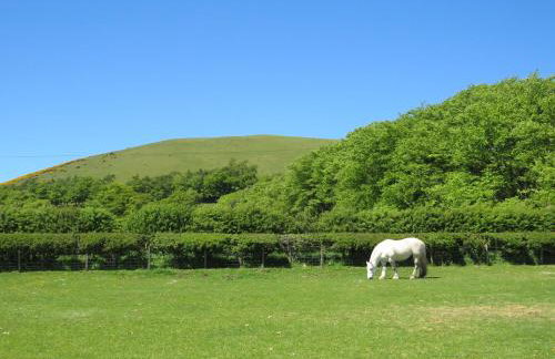 Blueacres - Photo 13